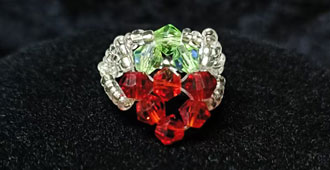 ��������-ˮ�����ӵ������ѧ���������������